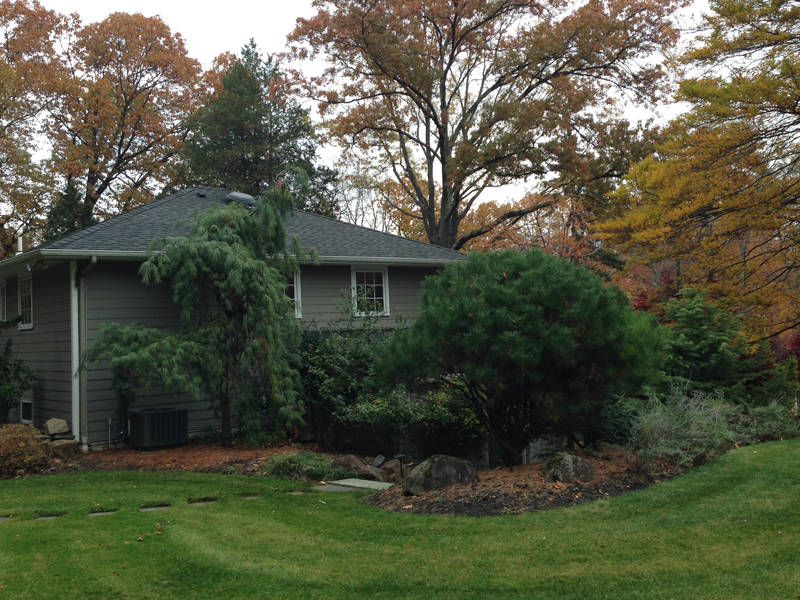 Tree trimming and removal