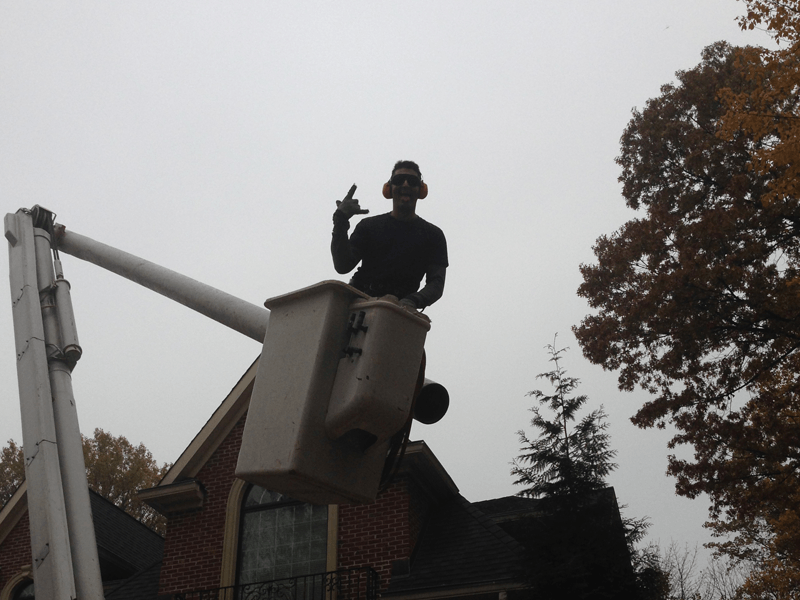 Tree trimming and removal