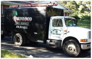Hardwood Tree Service Truck