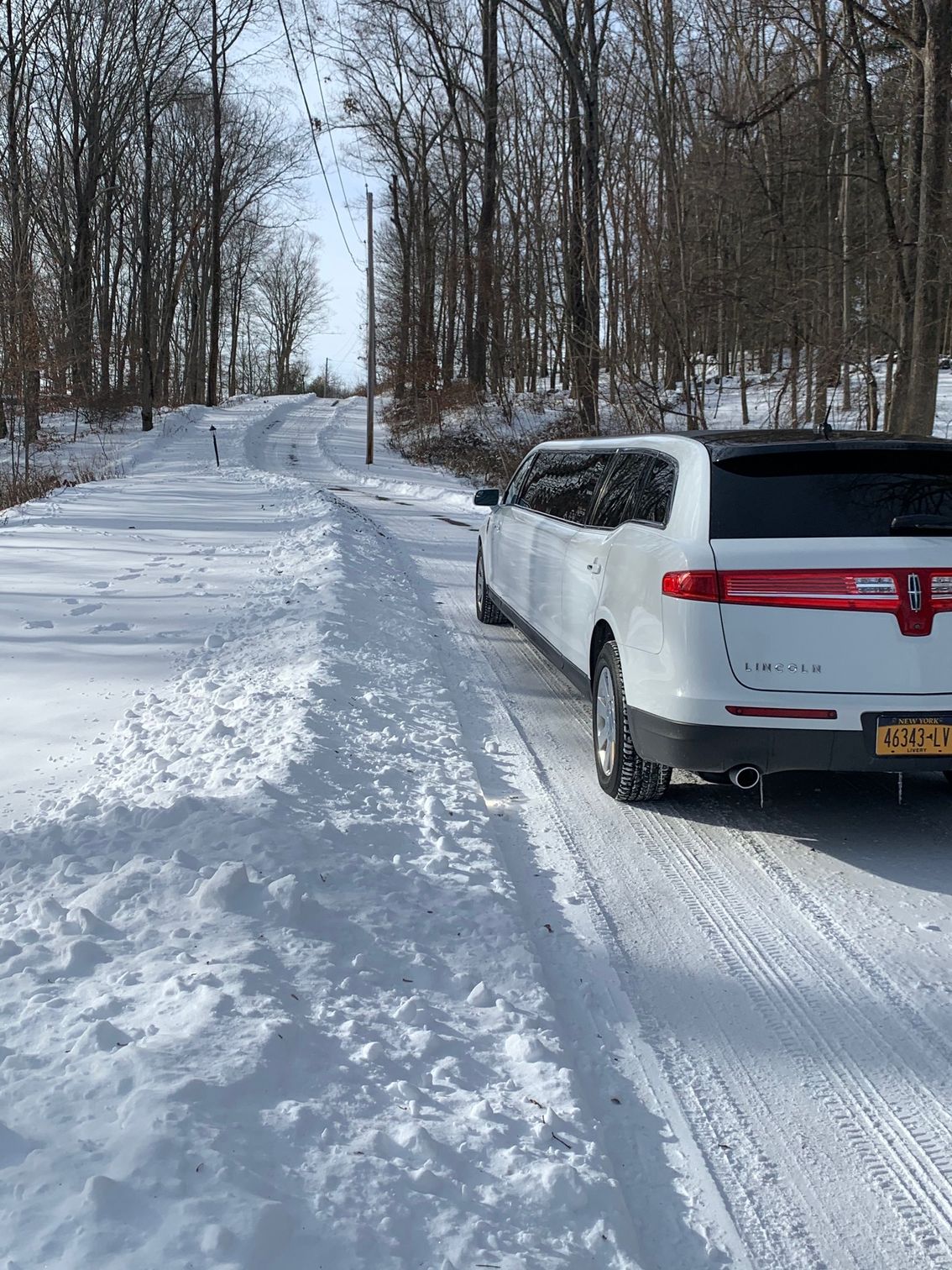 skit rip limousine service