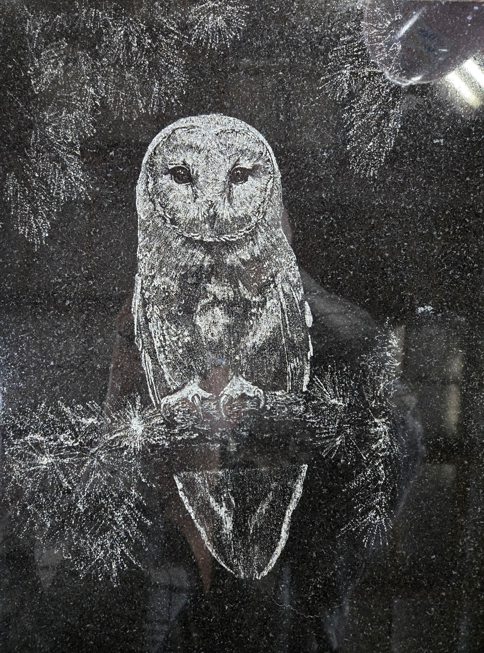 White-outlined owl on black background. The owl has a reflective surface.