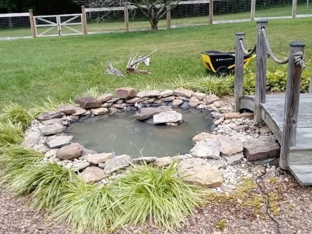Small, rocky pond in a yard, with a wooden bridge and green plants surrounding it.