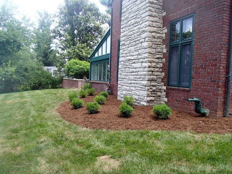 Lawn with green grass, garden with brown mulch and small bushes, next to a brick house with a stone chimney.