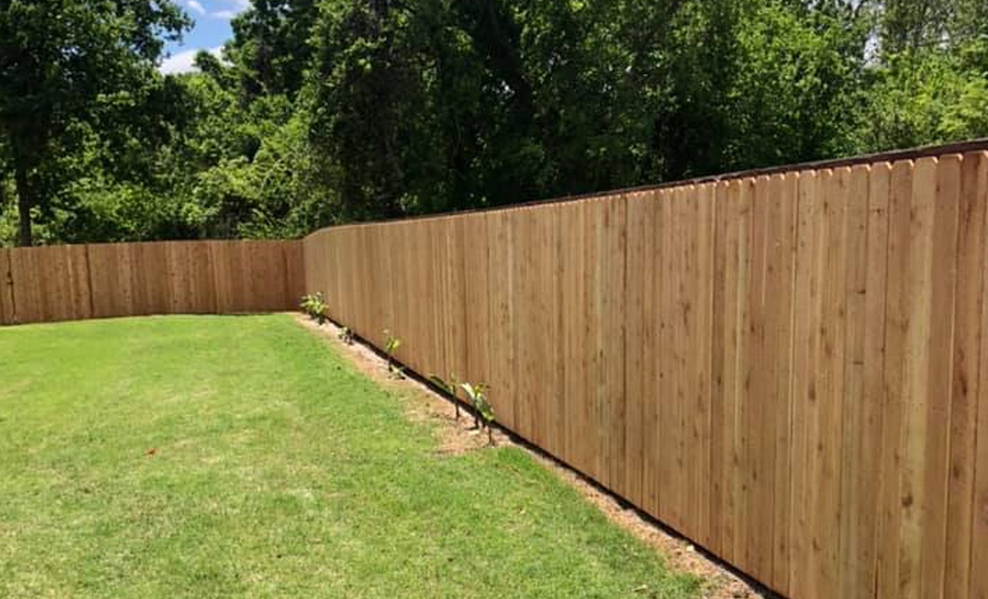 A wooden fence surrounds a lush green lawn in a backyard.
