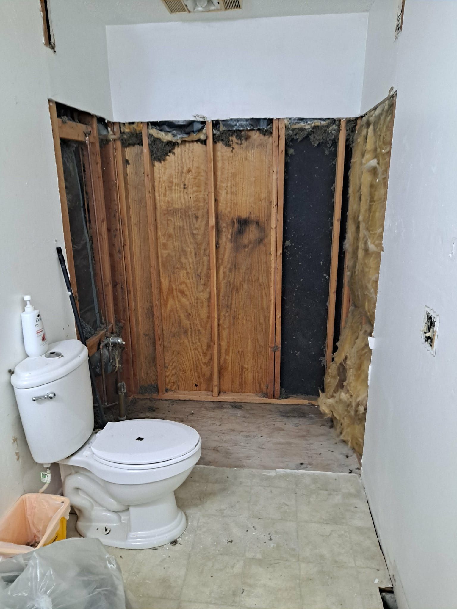 Bathroom renovation: toilet in place, walls stripped down to the studs, insulation exposed.