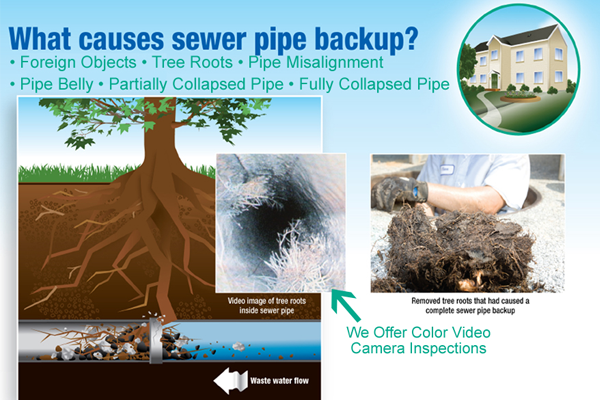 What causes sewer pipe backup