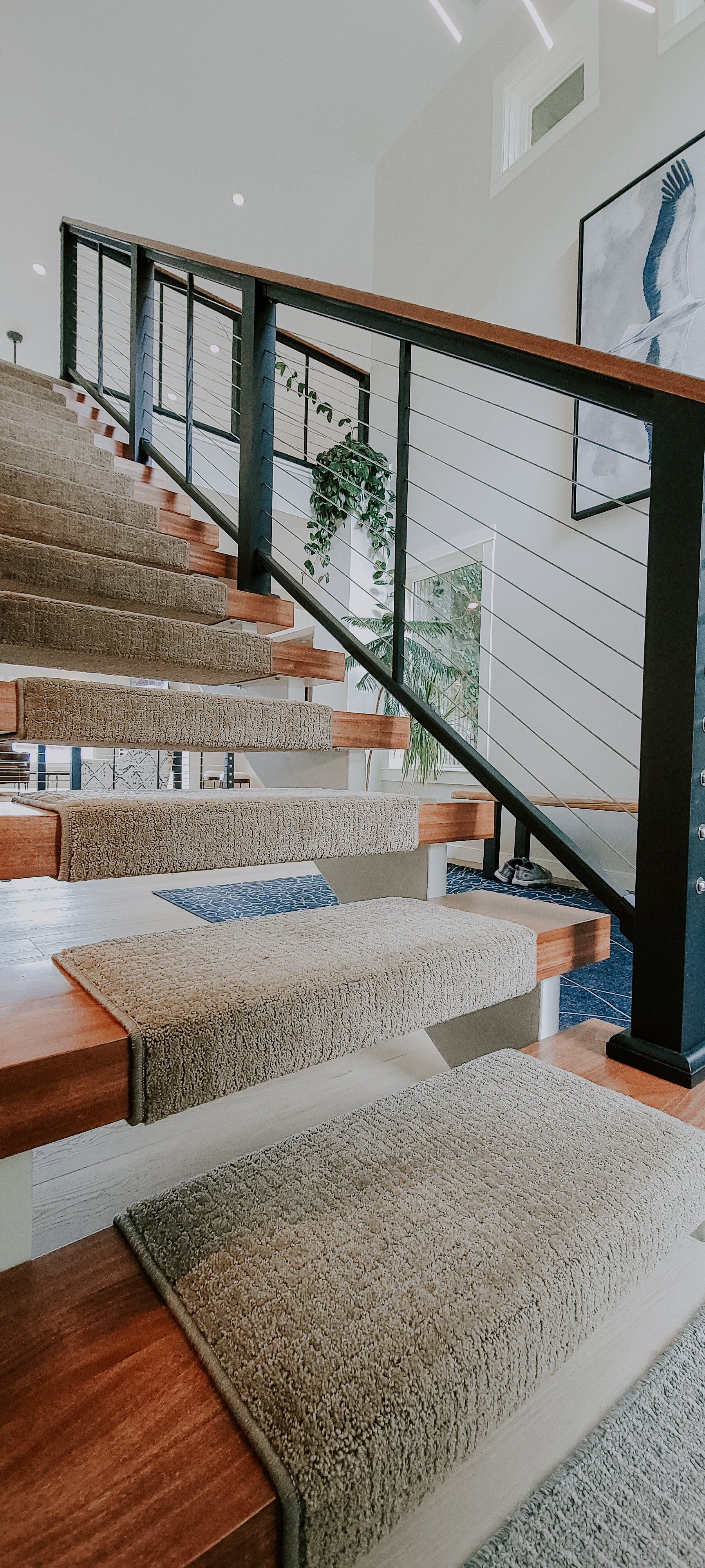 wood stairs with beige carpet