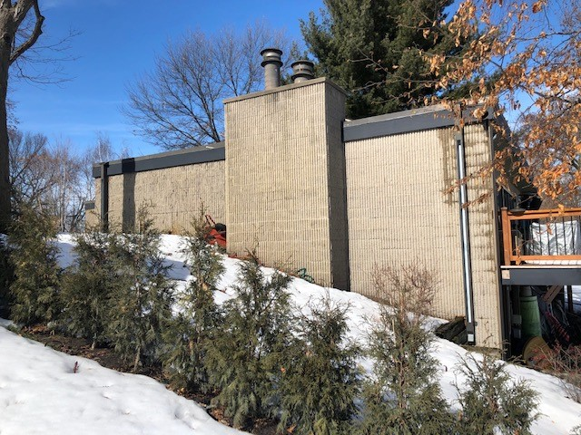 snow, plants, building