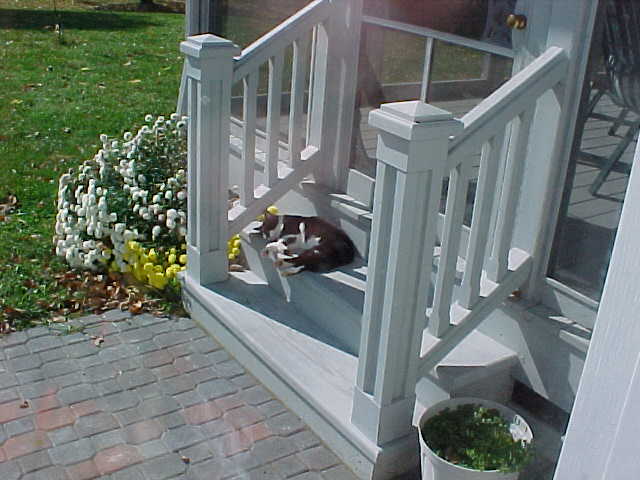 Dimensional Drafting Designs