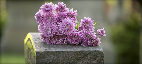 Beautiful flowers