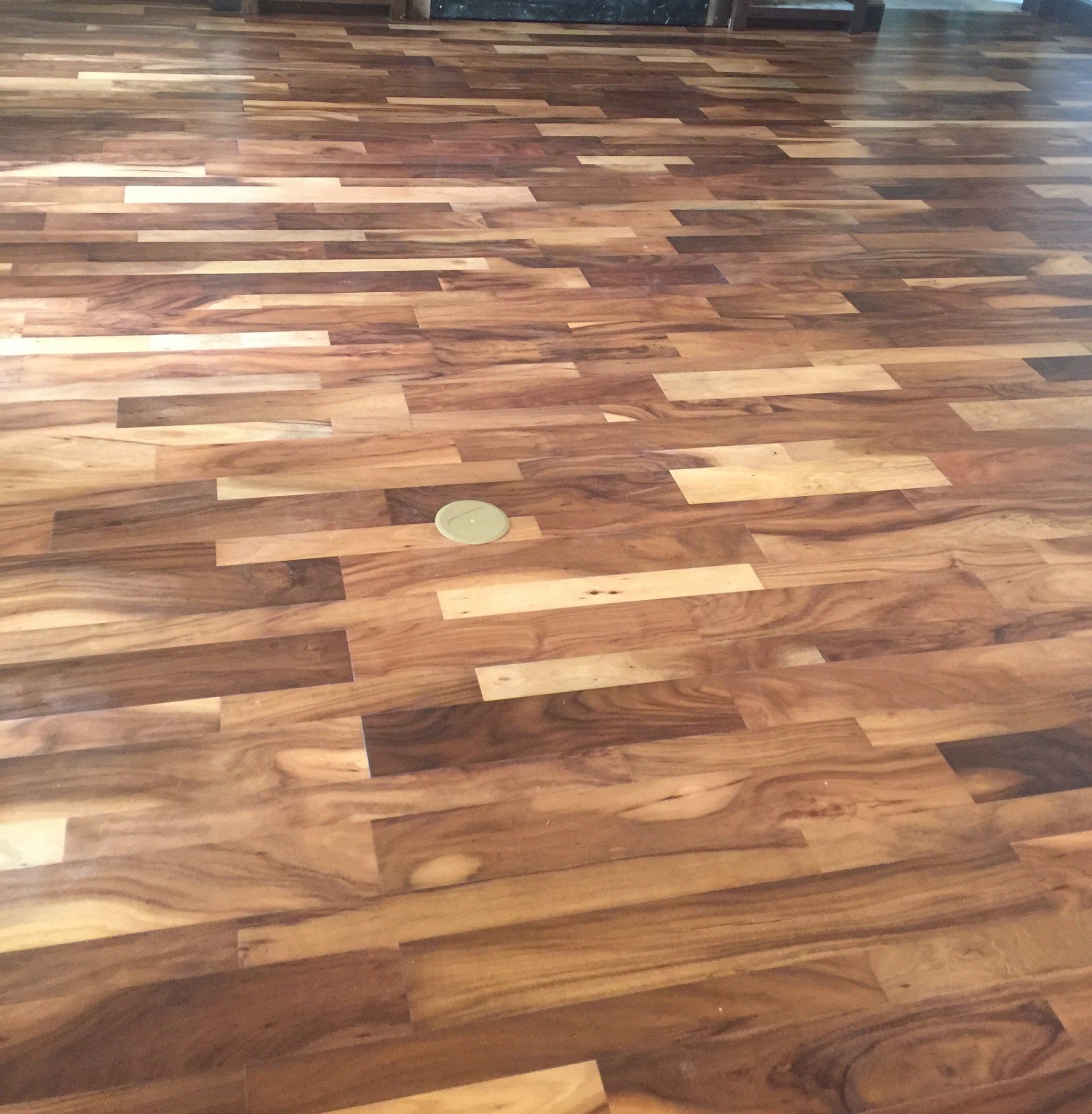 High Desert Acacia Guadalupe Peak-B.Castillo