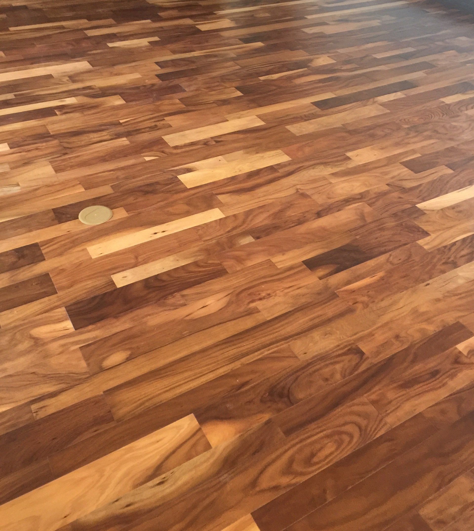 High Desert Acacia Guadalupe Peak-B.Castillo