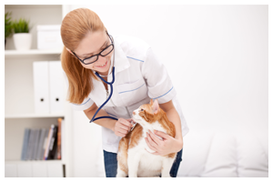 Woman with cute cat
