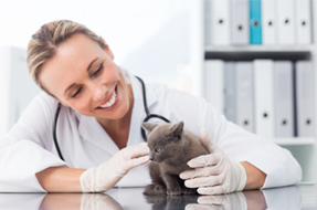 Doctor and cute cat