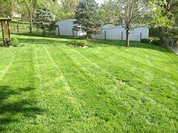 Lawn