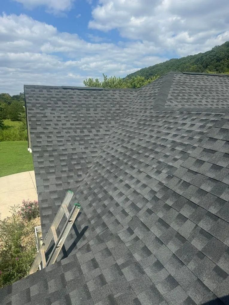 A high-angle view of a grey shingled roof with a ladder leaning against the side, overlooking a grassy yard and trees.