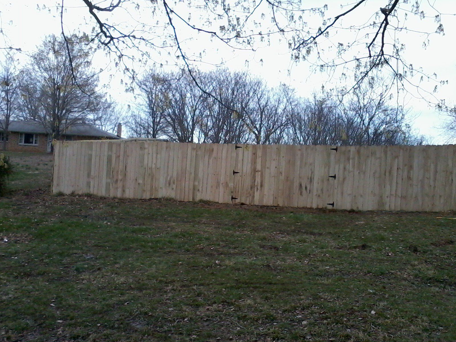 Fence & Railings