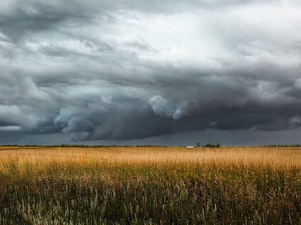 A golden wheat field under a vast, dark, and turbulent storm sky.