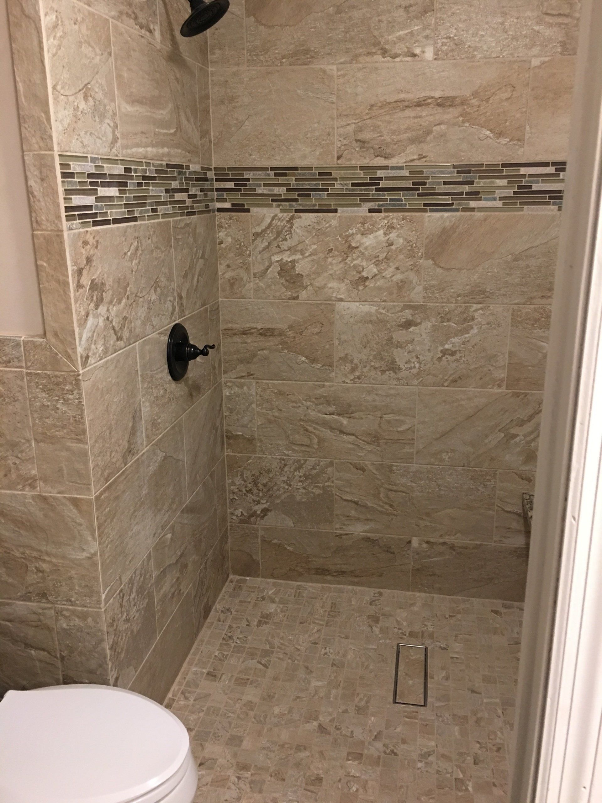 A bathroom with a toilet and a walk in shower.