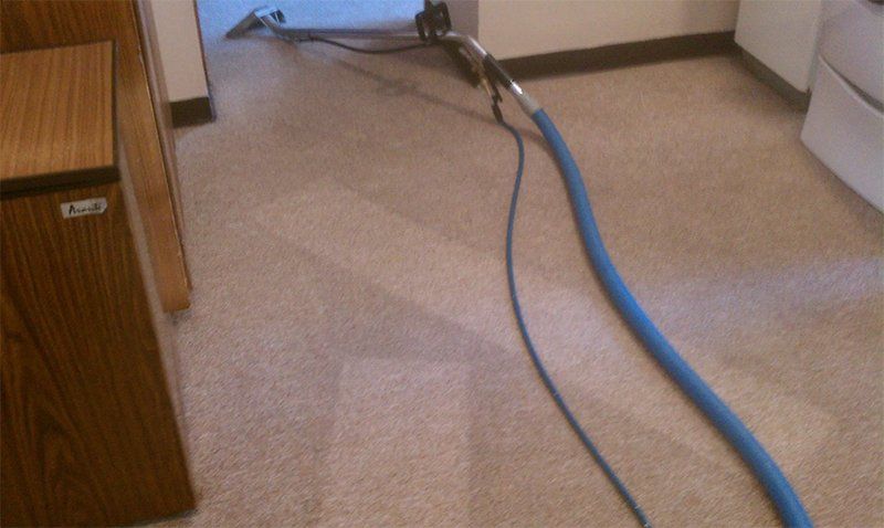 Carpet Cleaning