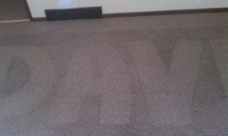 Carpet Cleaning
