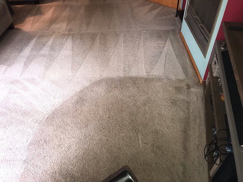 Carpet