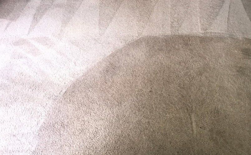 Carpet with cleaning pattern in light tan color.