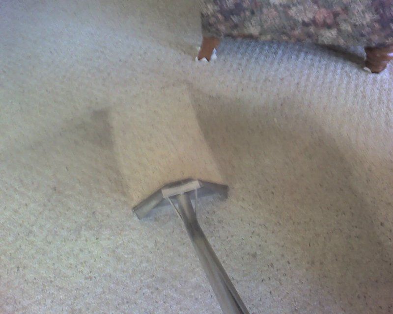 Carpet Cleaning