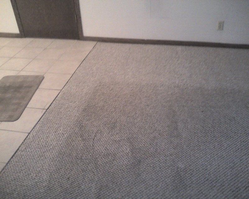 Carpet Cleaning