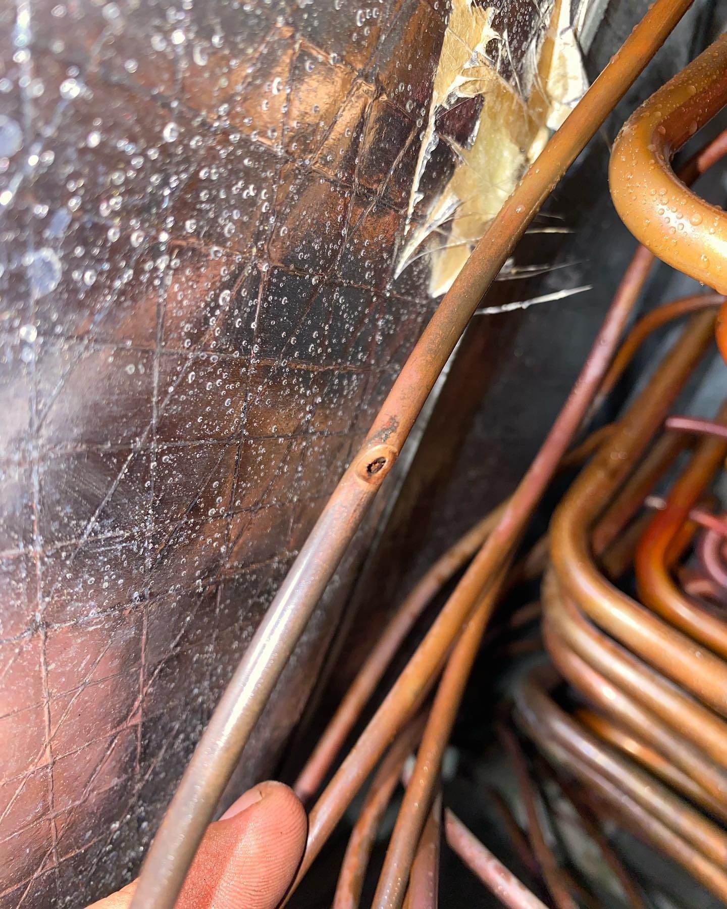 A close-up of a copper refrigeration pipe showing a small puncture hole, indicating a leak in the cooling system.