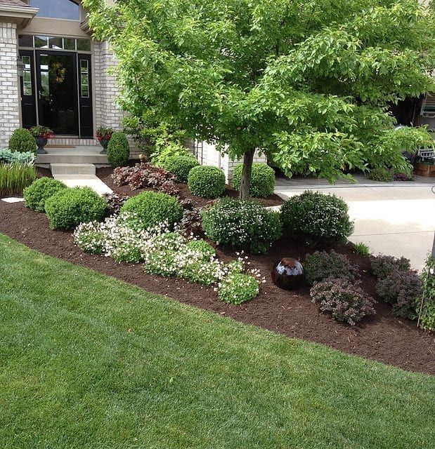 Front yard landscaping with a tree, shrubs, and white flowers along a house walkway