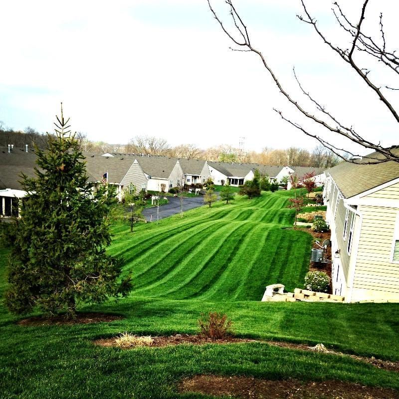 Residential neighborhood with neatly mowed green lawns and houses on a hillside under a bright sky