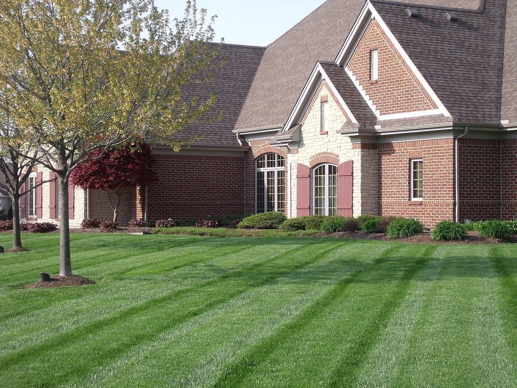 Brick house with manicured lawn and striped green grass in a suburban neighborhood