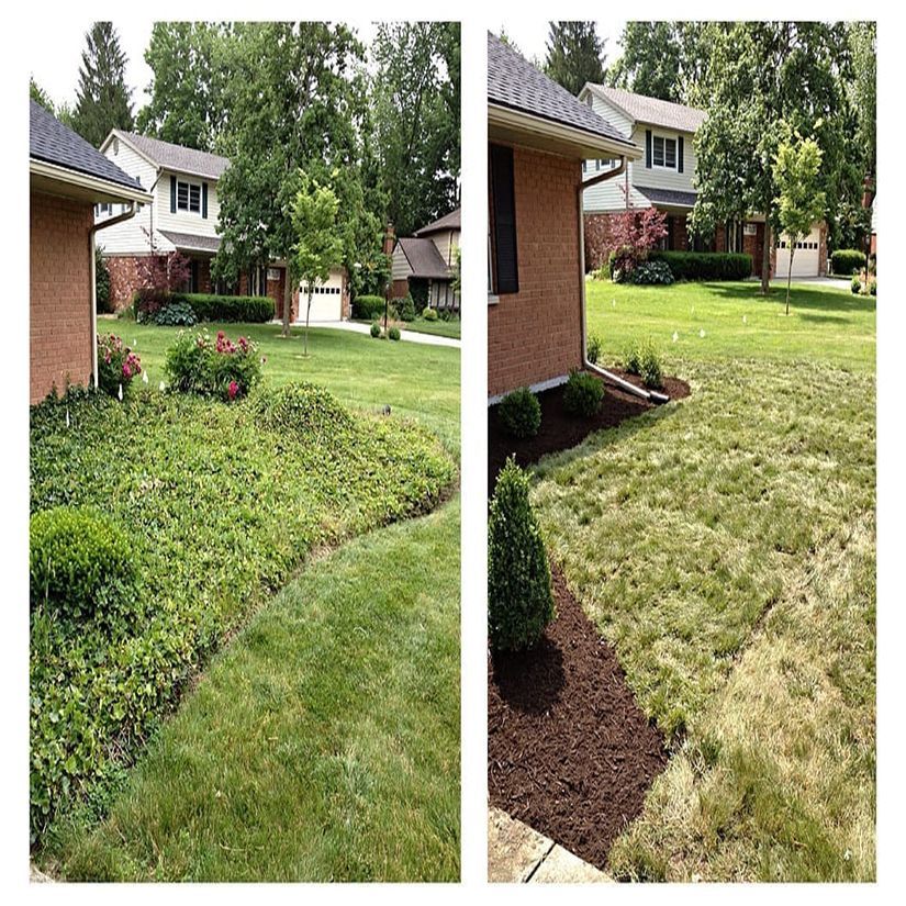 Split-view of a front yard lawn: lush green grass on the left, dry yellow grass on the right.