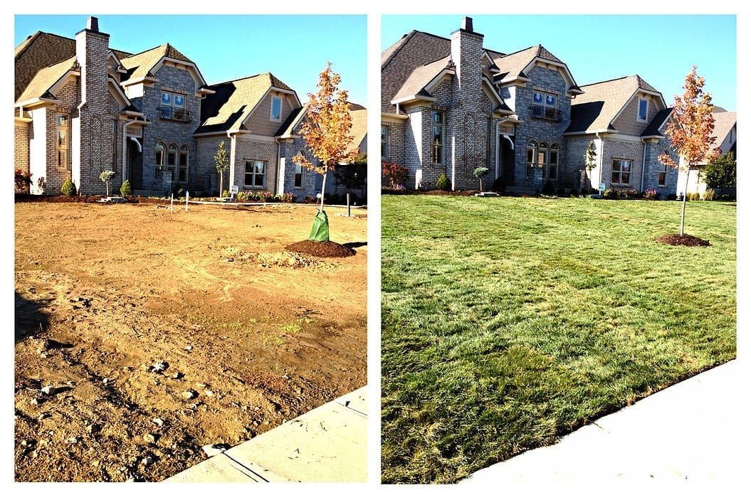 Side-by-side comparison of a house and yard: dry brown grass on the left, lush green grass on the right.