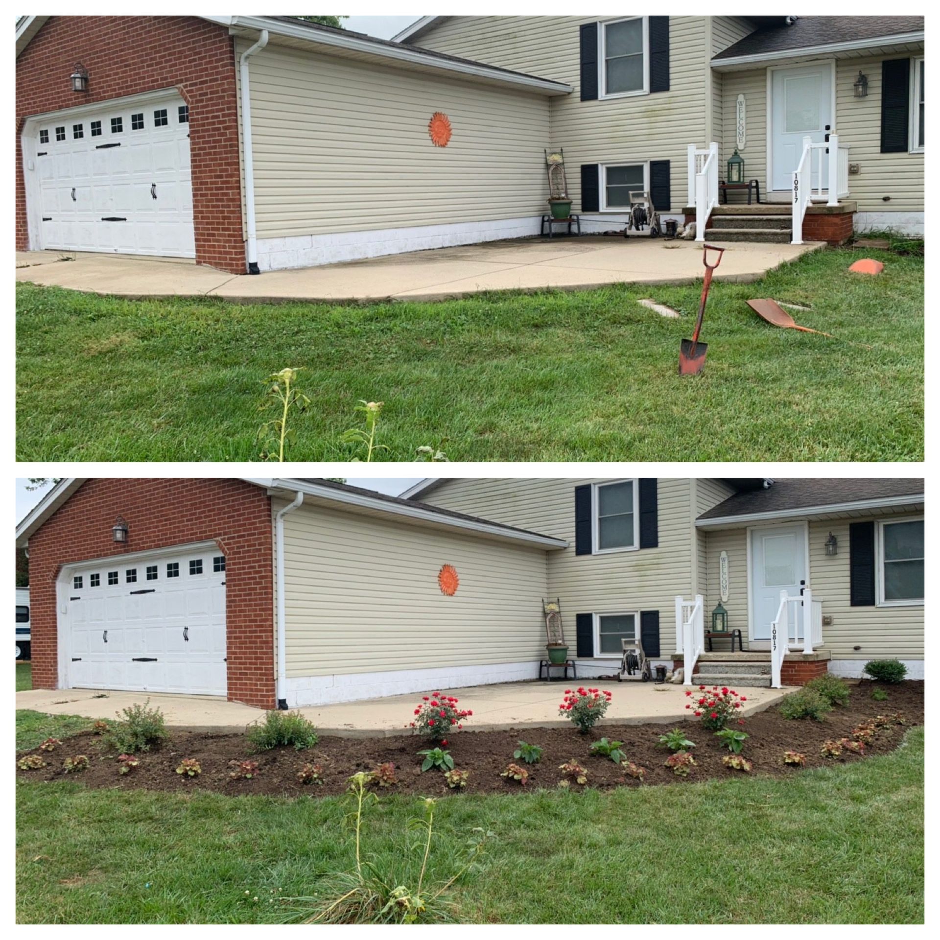 Front yard before-and-after landscaping with mulch beds, flowers, and a house exterior.