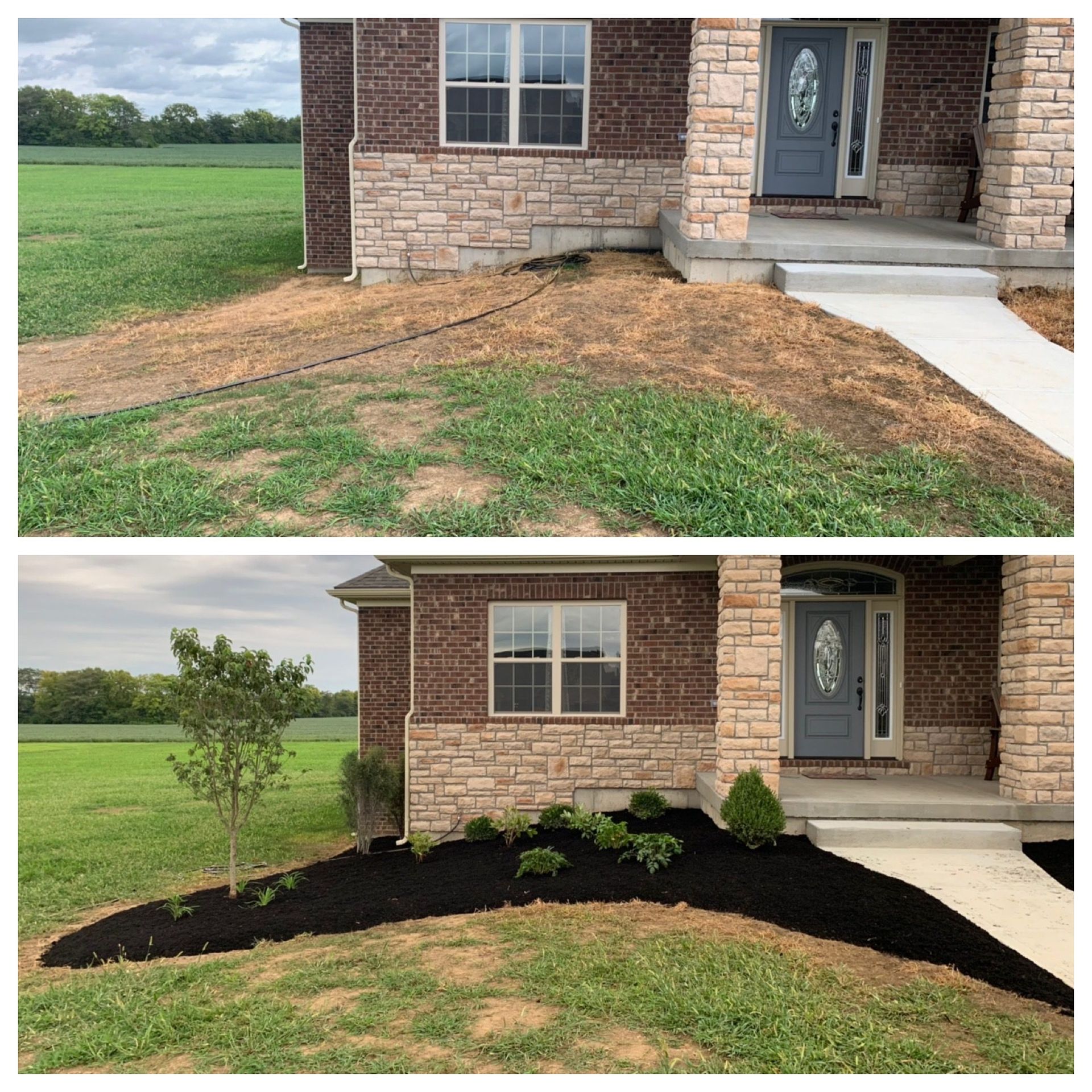 Front yard landscaping before-and-after: bare soil replaced with black mulch and small shrubs by a brick house.
