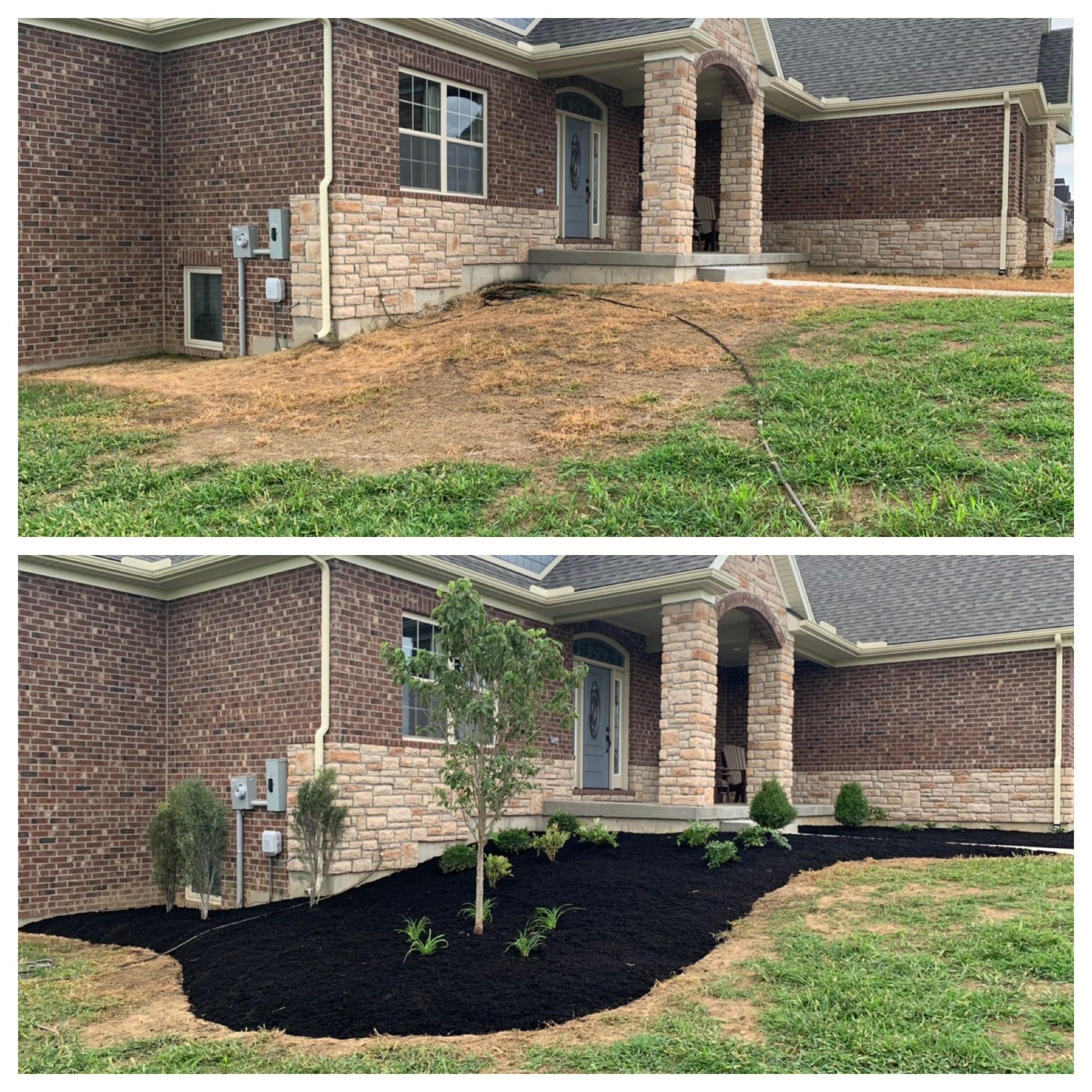 Front yard before-and-after: brick house landscaping with bare soil changed to fresh black mulch and shrubs.