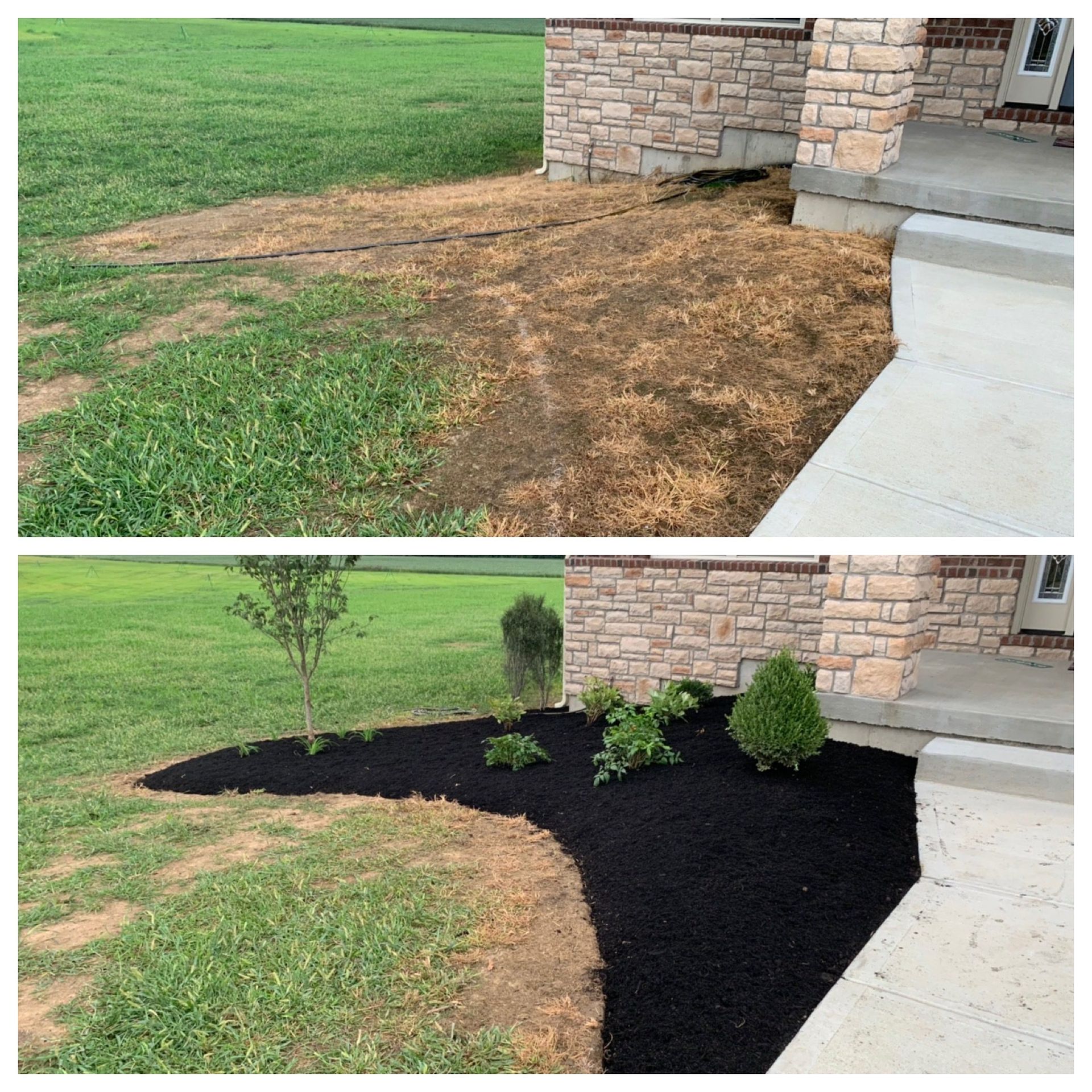 Before and after of a landscaped yard bed by a house: bare soil changed to black mulch with shrubs.