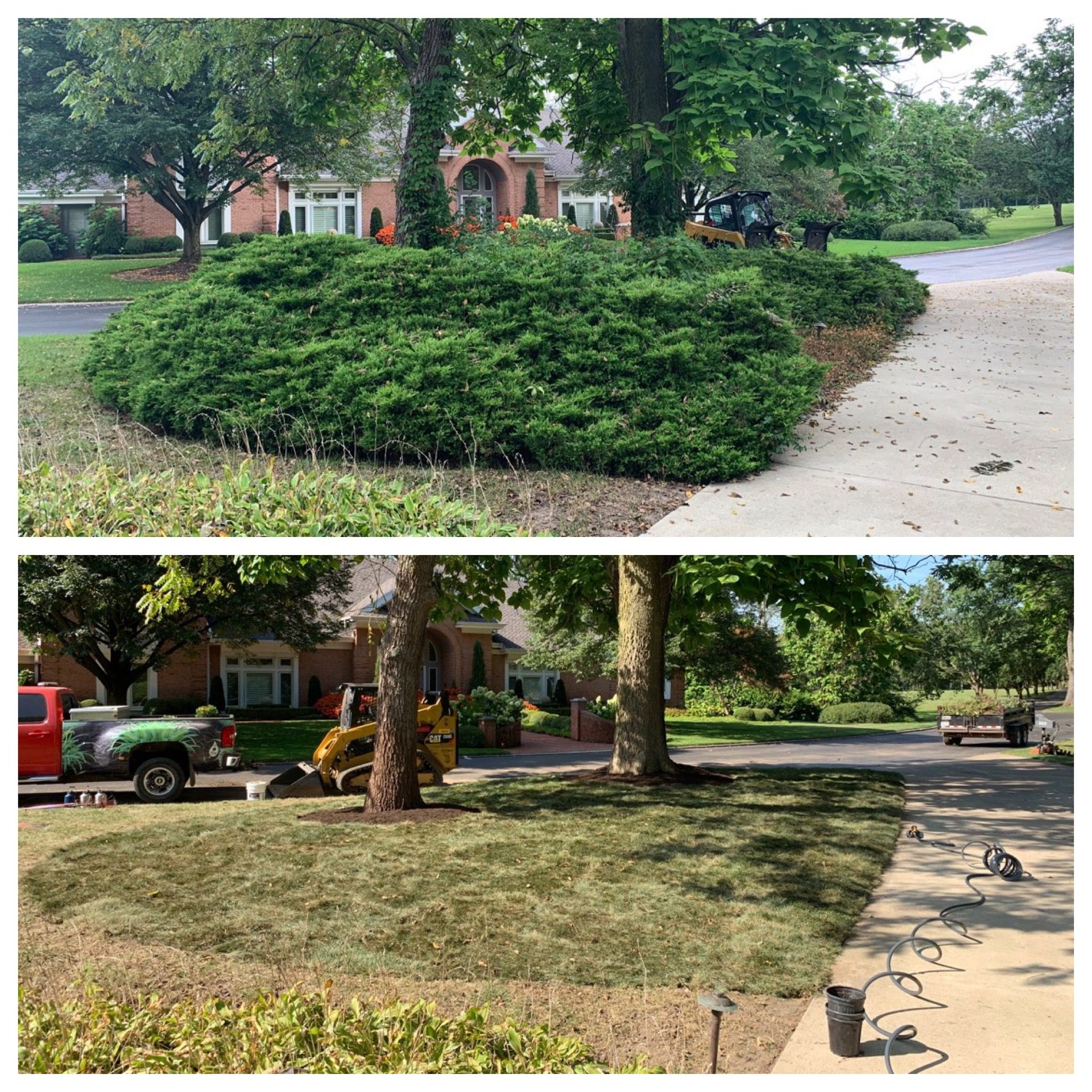 Front yard before-and-after: overgrown shrubs trimmed to a neat, open lawn by the driveway.
