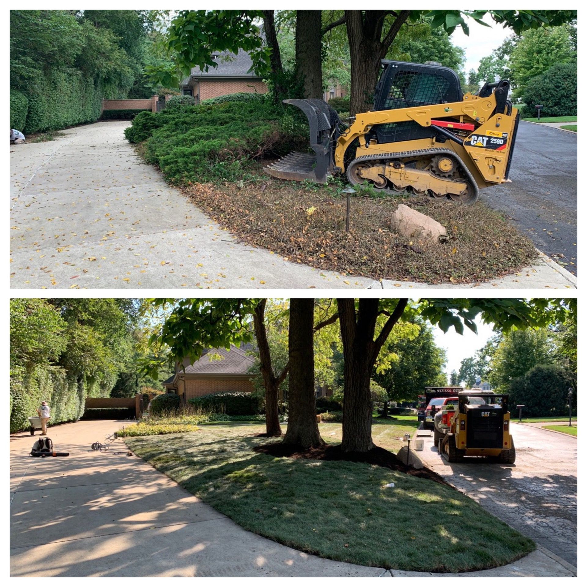 Before-and-after landscaping scene with a yellow skid steer clearing a driveway and trimming around trees.