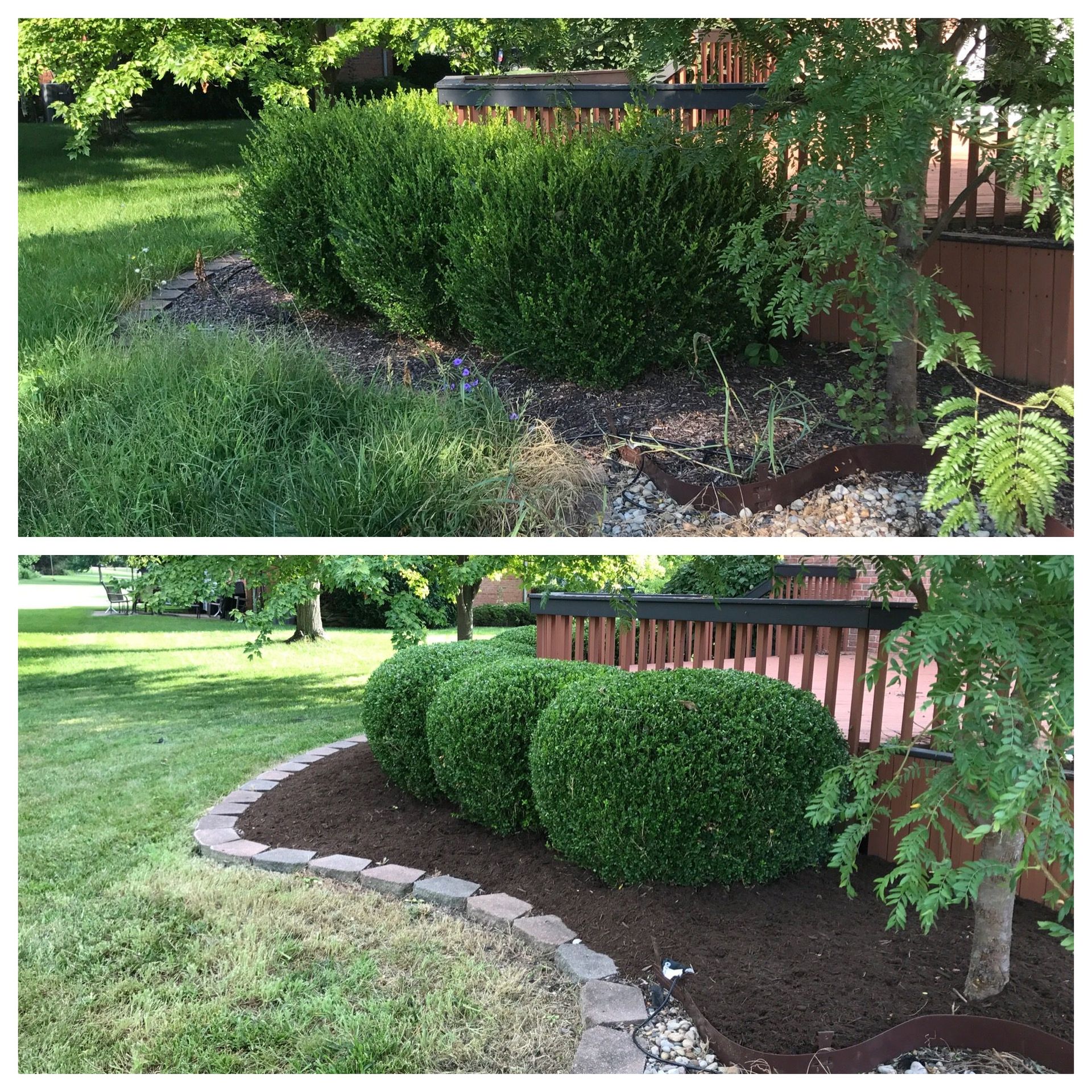Before-and-after of a landscaped yard: overgrown shrub replaced with neatly trimmed hedges and stone edging