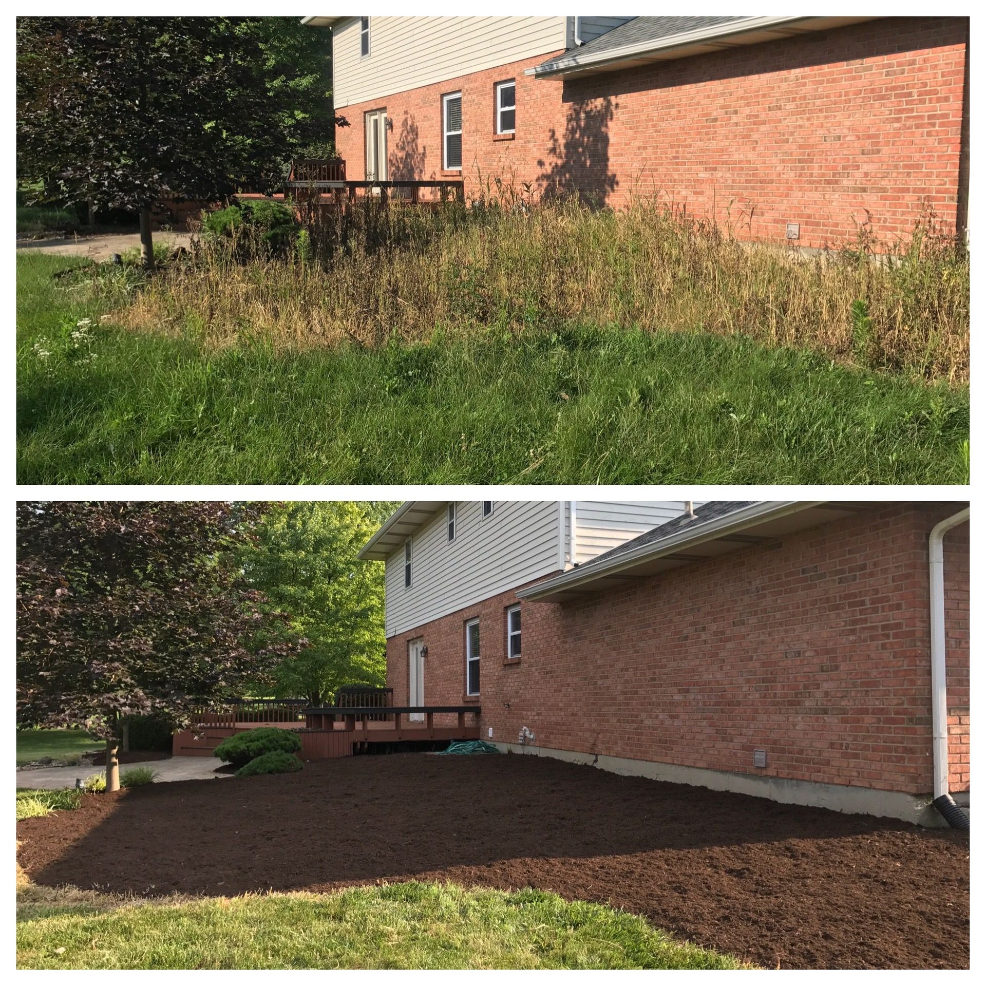 Before-and-after yard cleanup beside a brick house, overgrown grass replaced with fresh mulch.