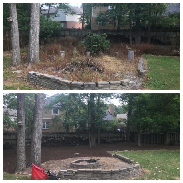 Before-and-after backyard fire pit area, overgrown in top photo and cleared in bottom photo.