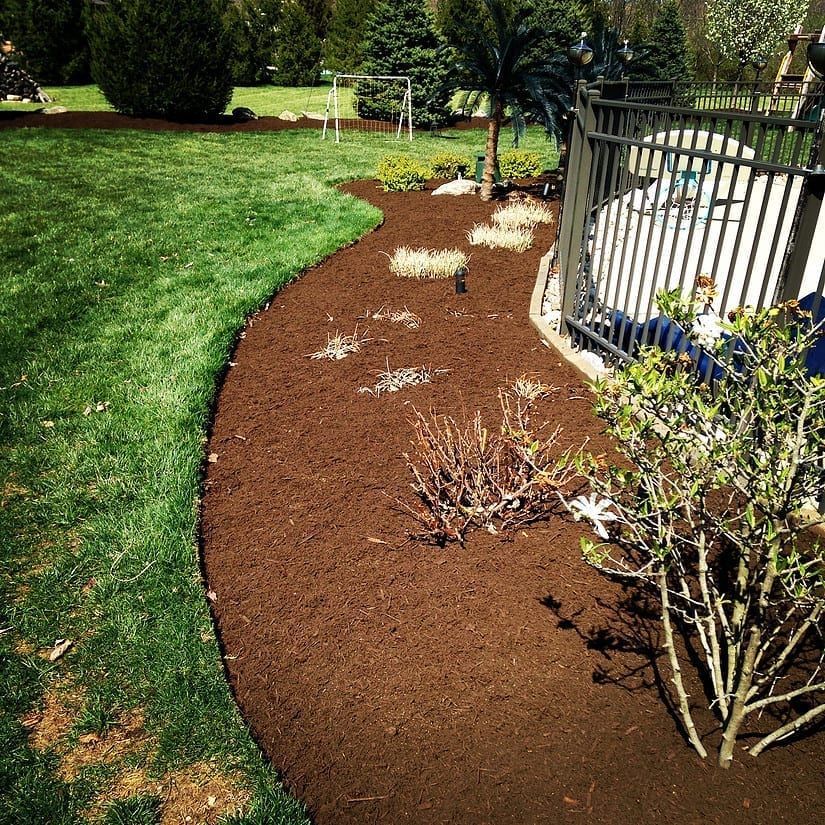 Curved mulched garden bed beside a green lawn and black fence, with small shrubs and plants.