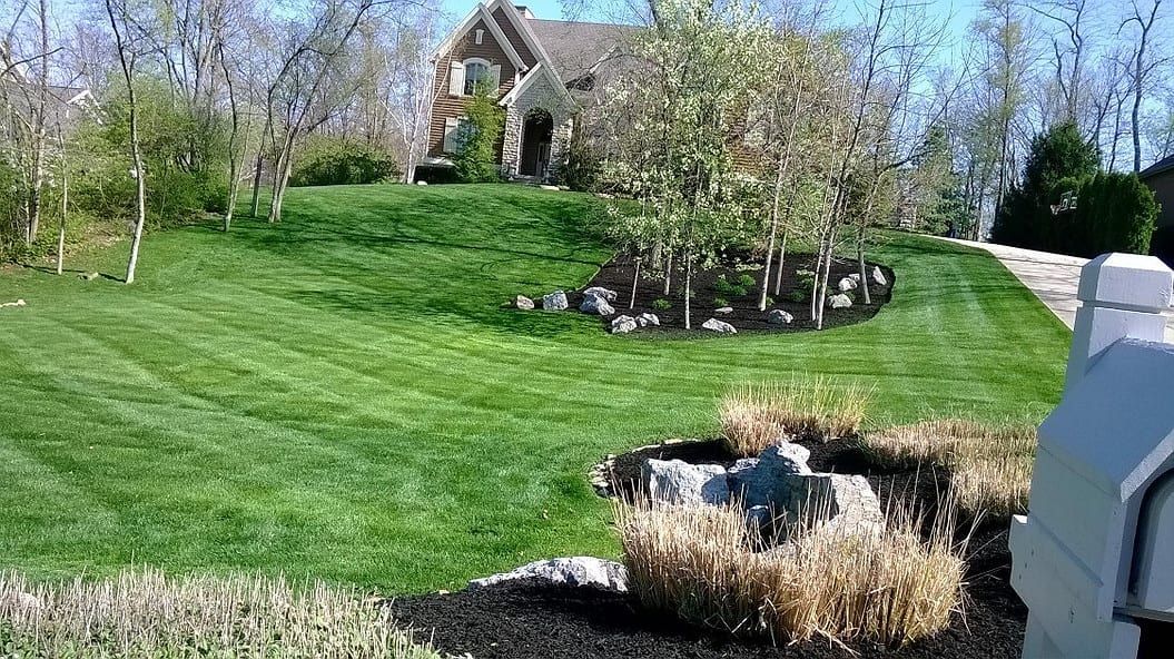Grassy backyard with a stone house, flowering shrubs, and a small flower bed under a bright blue sky