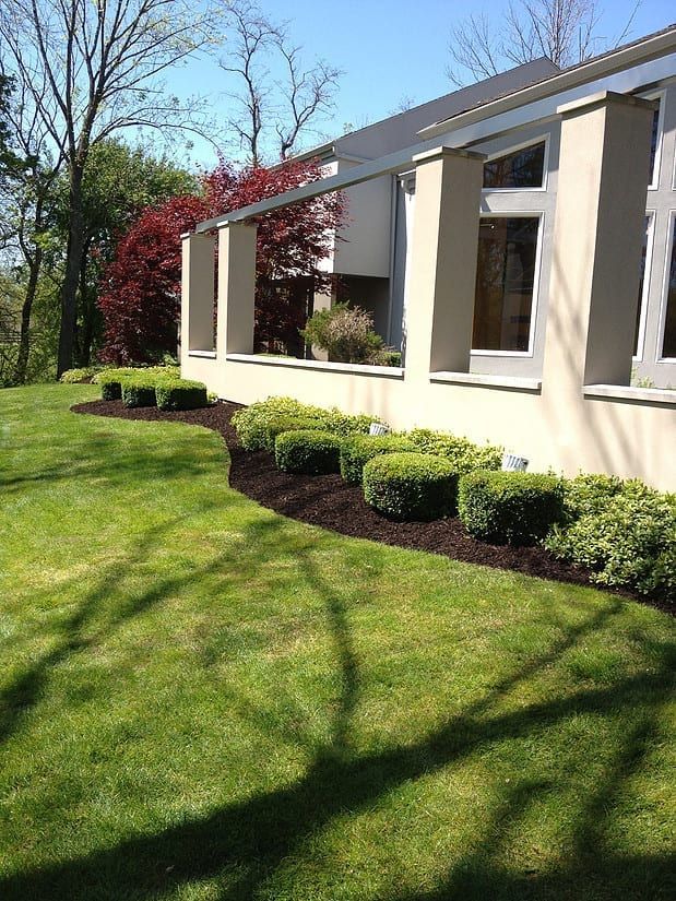 Modern white house with large windows, trimmed shrubs, and a sunlit lawn with tree shadows.