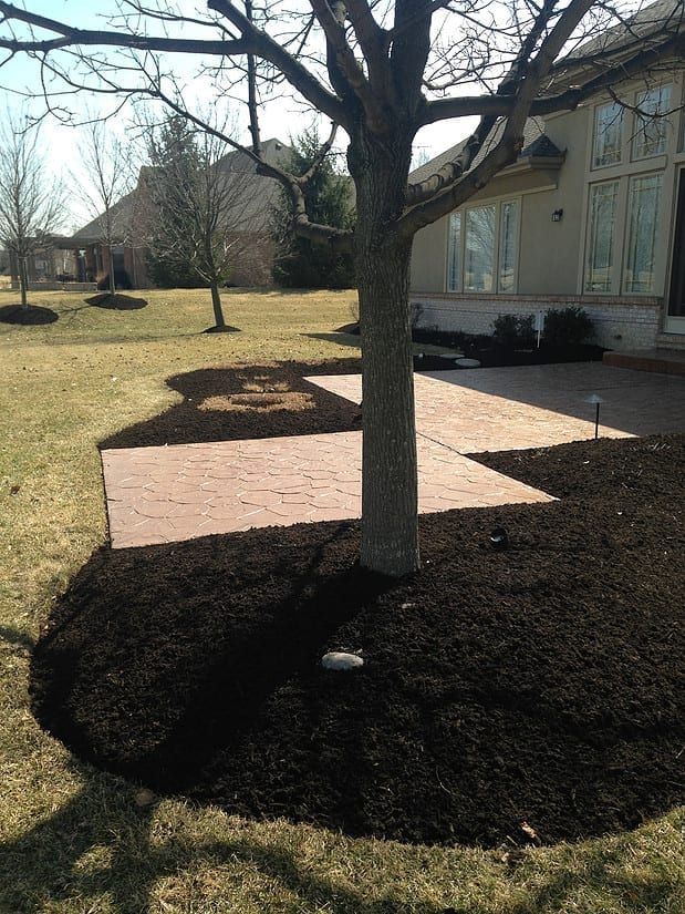 Tree casting a large shadow over a brick patio beside a house on a sunny lawn