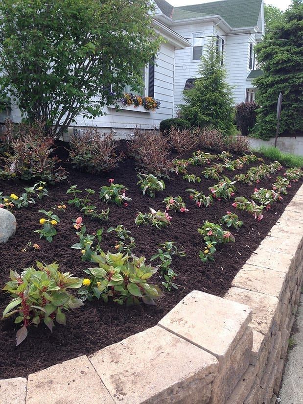 Terraced garden bed with small shrubs and flowers beside a stone retaining wall and a house.