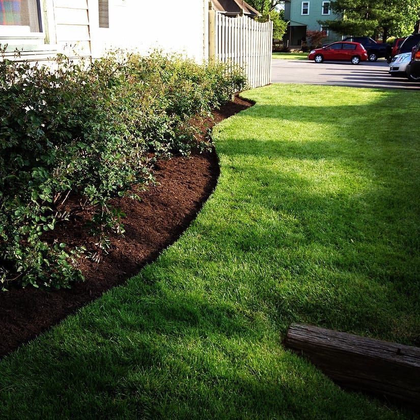 Curved flower bed with shrubs beside a green lawn in a suburban yard, with houses and parked cars in the background